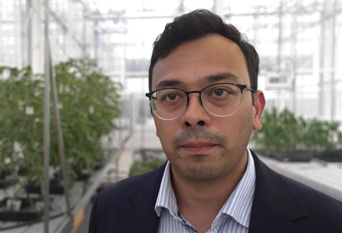 BEKIJK – Europa versoepelt regels voor genetisch gewijzigde planten