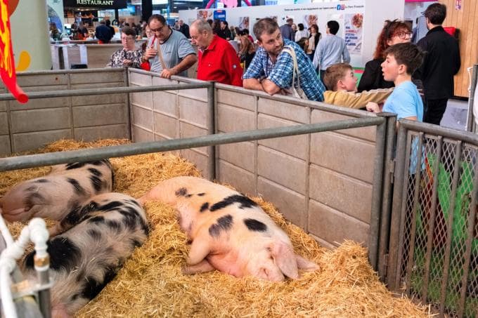 Waarom blijft de landbouw- en voedingssector groeien?