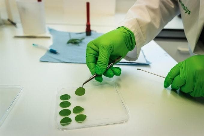 Waarom we onze positie in Biotalys verstevigen in de  voorbeeldportefeuille