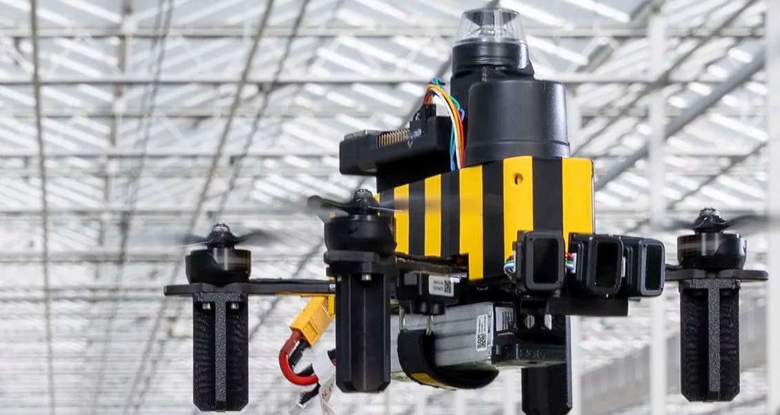 Honingbijen leren drones navigeren