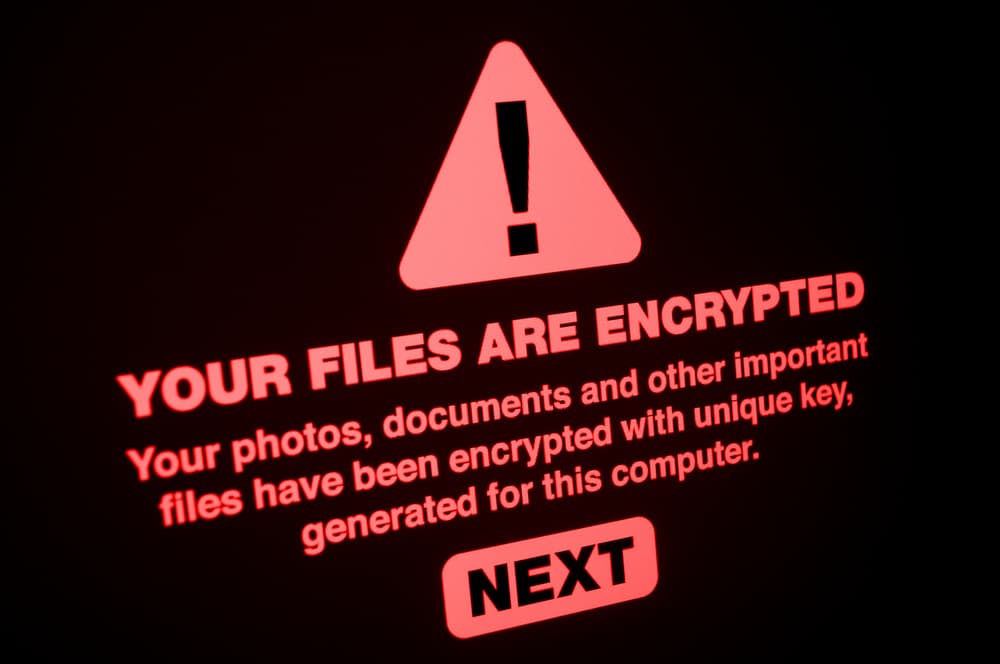 Op Anti-Ransomware Day is er goed nieuws voor cyberbeveiligers